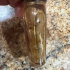Pfluegler Speede reel oil Vtg Glass Bottle Used Fishing Tackle — photo 6
