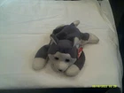 Vtg. Ty Beanie Baby-Nanook the Husky-org tags-DOB 11/21/96-Bent SHT