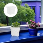  6 Pcs Square Plastic Small Flower Pot Nursery Pots Garden Plant Growers