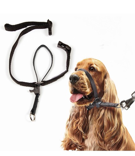 Beaphar Gentle Leader Headcollar Perros Negro Mediano - Imagen 3 de 6