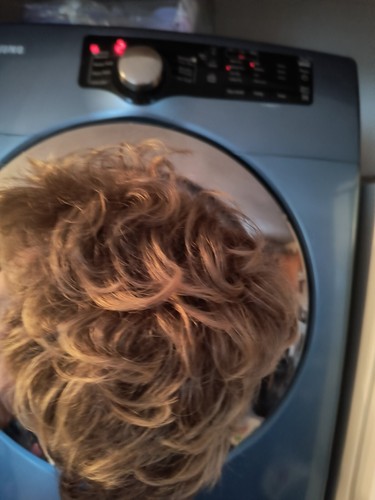 Paula Young Sagged Wig New In Box.Come C. - Picture 4 of 13