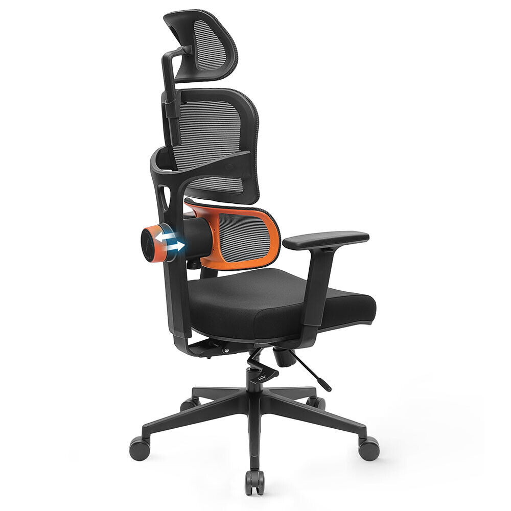 Blarity Office Chair, High Back Ergonomic Desk Chair with Adjustable Lumbar  Support and Headrest