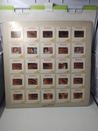 Seltener John Cale The Academy of Peril White Label PROMO / Andy Warhol Hype Aufkleber - Bild 18 von 24