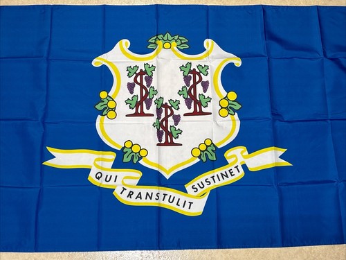 Connecticut 3x5ft State Flag Polyester With Grommets ✅ Single Sided ✅ Decor New - Picture 2 of 5