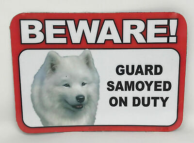 SAMOYED~BEWARE DOG SIGN~LAMINATED CARD~NEW~SCANDICAL~FREE US SHIPPING~