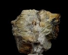 Photo 11/13