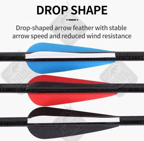 Archery Arrows Compound Traditional Recurve Bow Hunting 12 Arrows Fiberglass - Picture 13 of 14