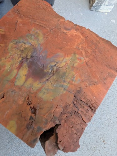 Rainbow Petrified Wood Slab Green Purple Yellow - Display Side Buffed, Rind/Bark - Bild 5 von 11