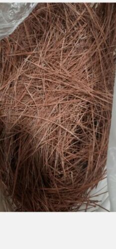 long leaf pine needles - Picture 2 of 2