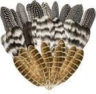 Turkey Craft Feathers