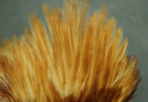 Keough Commercial Hen Ginger Cape/Neck Fly Tying/Crafts Lot-SF 343 - Picture 8 of 9