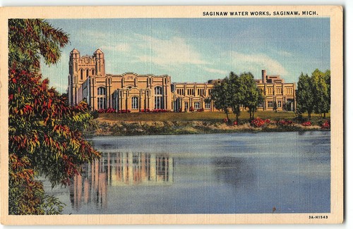 Saginaw Water Works, Saginaw, Michigan - 1933 Curt Teich Linen Postcard - Picture 1 of 2