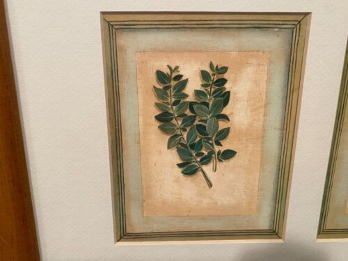 F. de Villeneuve Vintage gerahmte botanische Drucke X3 Blatt Sorte signiert mattiert - Bild 2 von 11