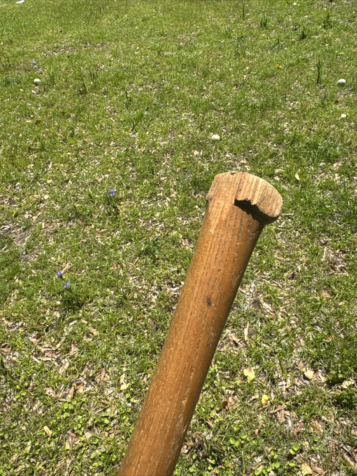 Picture 11 of 14