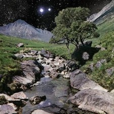 The Beta Band by The Beta Band [CD]