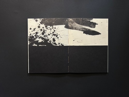 Lejos De La Tierra — Irene Zottola & øjeRum | Photobook, Poetry & Soundscapes - Bild 5 von 6