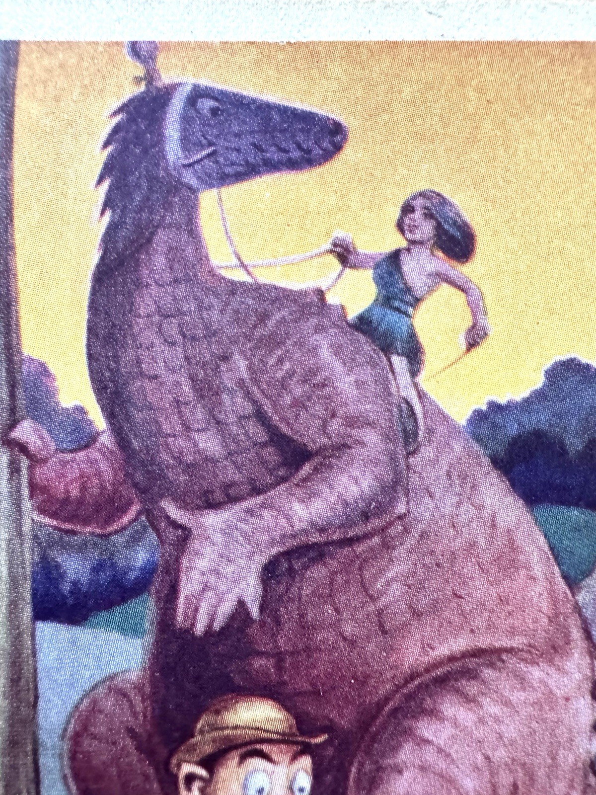 Picture 8 of 20