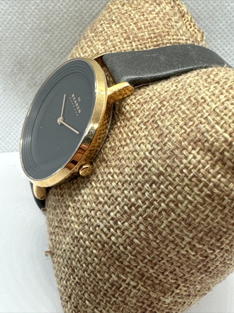 Skagen Ditte SKW2216 Women display picture 1