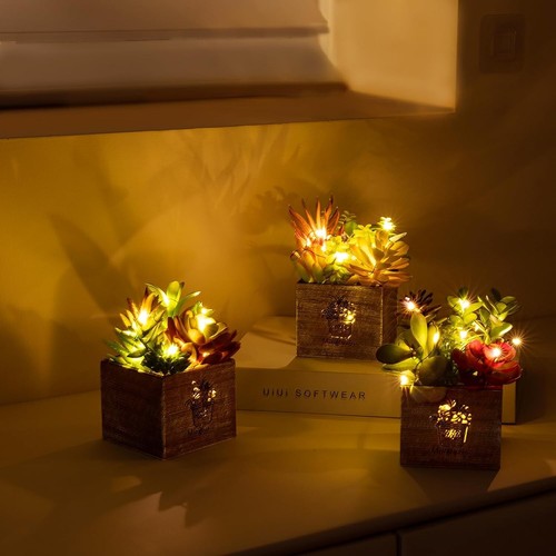 Artificial Plants and Succulents, Small Fake Plants with Led String Light, As... - Picture 3 of 8