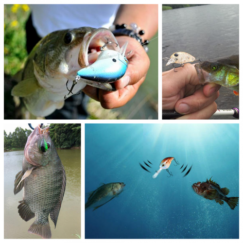 10x 3D Eyes Fish Fishing Lures Crankbaits Hooks Minnow Baits Tackle 10.5g 11.5cm - Picture 10 of 12