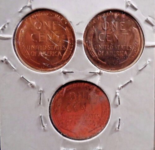 UNZIRKULIERT TRIO 1955 P,D,&S LINCOLN WHEAT PENNY SET (81917) - Bild 2 von 2