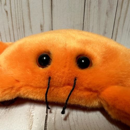 Ty Beanie Buddies Scavatore il Granchio Peluche Arancione con Etichetta da Appendere 12 Pollici - Foto 7 di 10