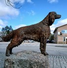 Irish Setter antique, Irish Setter sculpture,Irish Setter figure, antique dog