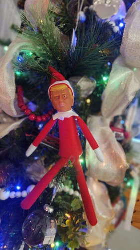 NEW! DONALD TRUMP on a Shelf! TRUMP On A Stump Donald Trump Doll   - Bild 2 von 5