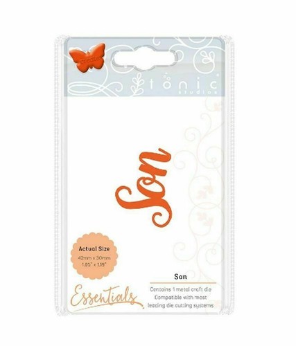 TONIC STUDIOS MINIATURE MOMENTS-MOTHER, SISTER, SON, NEPHEW, AUNTY & UNCLE DIES - Picture 14 of 19