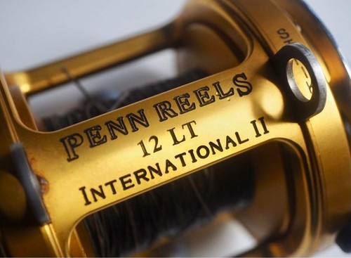 Penn Reels International II 12LT Mulinello Trascinatore a Leva Grande Gioco Trolling Pesca JP - Foto 2 di 4