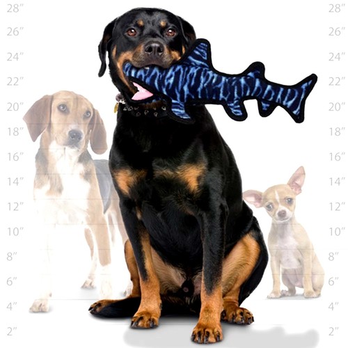 TUFFY® Shark Dog Toy - Tough Plush - Picture 1 of 5