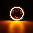 Foto 6 di 11