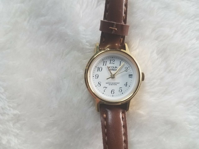 timex wr30m gold price