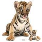 Bengal Tiger Cub Lifesize and Mini Cardboard Cutout / Standup / Standee - Animal