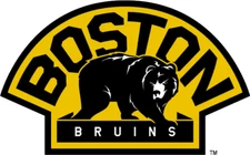 Boston Bruins Alternate Logo - Die Cut All Weather Vinyl Sticker/Decal NHL