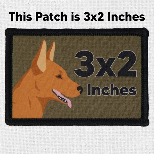 Go Places Learn Stuff Patch Moral Tactical Military Army Flag Hook & Loop 3x2 - Afbeelding 2 van 8