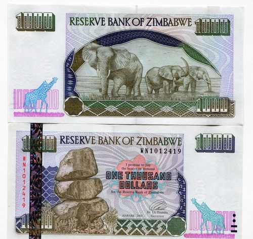P-12 UNC 2003 Zimbabwe 1000 Dollars