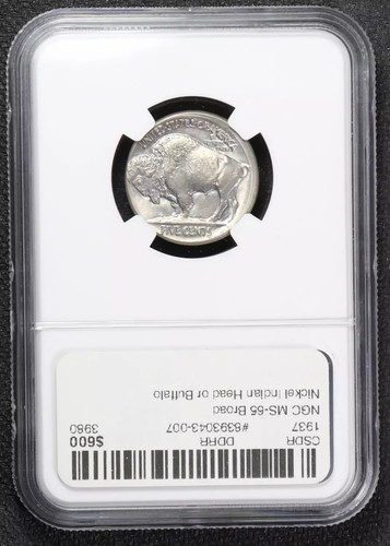 1937 Nickel Indian Head or Buffalo NGC MS-65 Broadstruck - Picture 4 of 4
