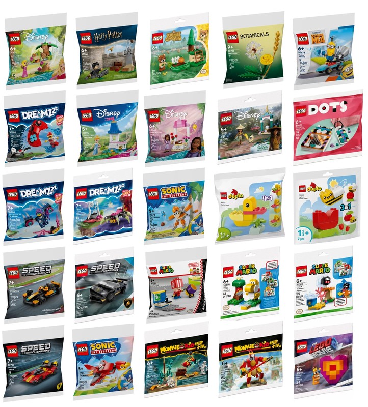 Lego Poly Bags Retired Limited Collector's Edition New Factory Sealed You Pick!