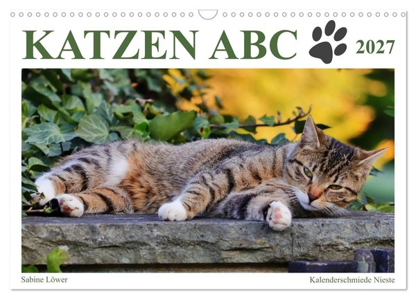 "Calendar 2027 · US Version · Cats ABC (Wall Calendar 2027 17\" × 12\" Landscape),"-image