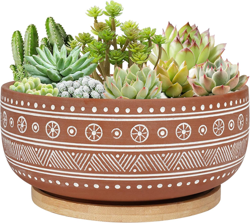 8 Inch Terracotta Succulent Planter Pot with Drainage Hole and Bamboo Tray, roun - Picture 10 of 12