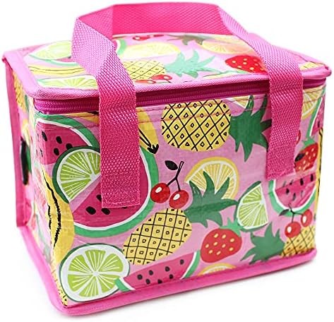 Insulated Lunch Bag Folding Reusable Cooler for School Beach Travel - Picture 1 of 6
