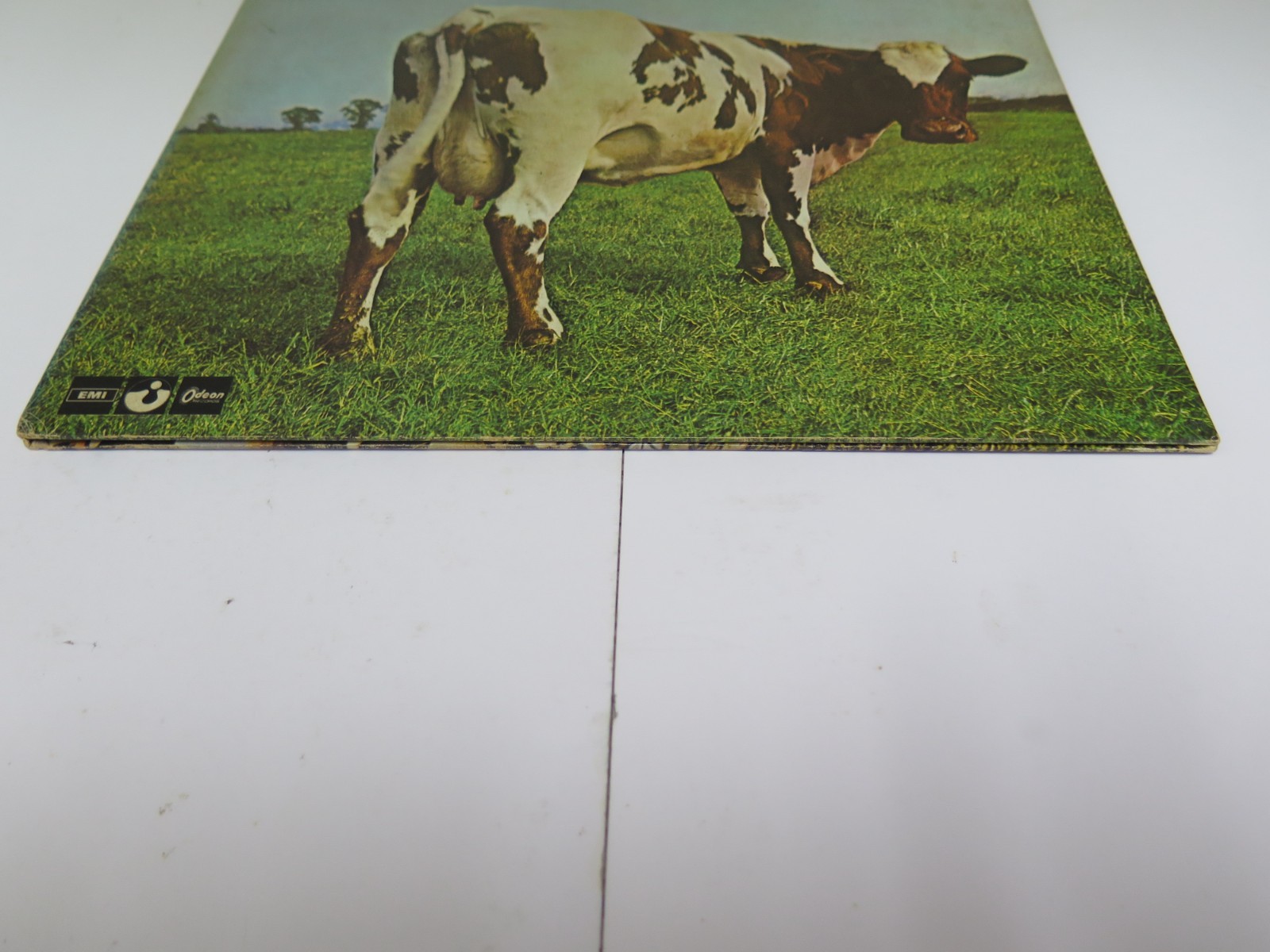 Picture 6 of 22