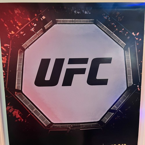 UFC 239 240 241 242 Promo Fight Poster 2019 Zuffa 18 x 24 Octagon View - Picture 2 of 5