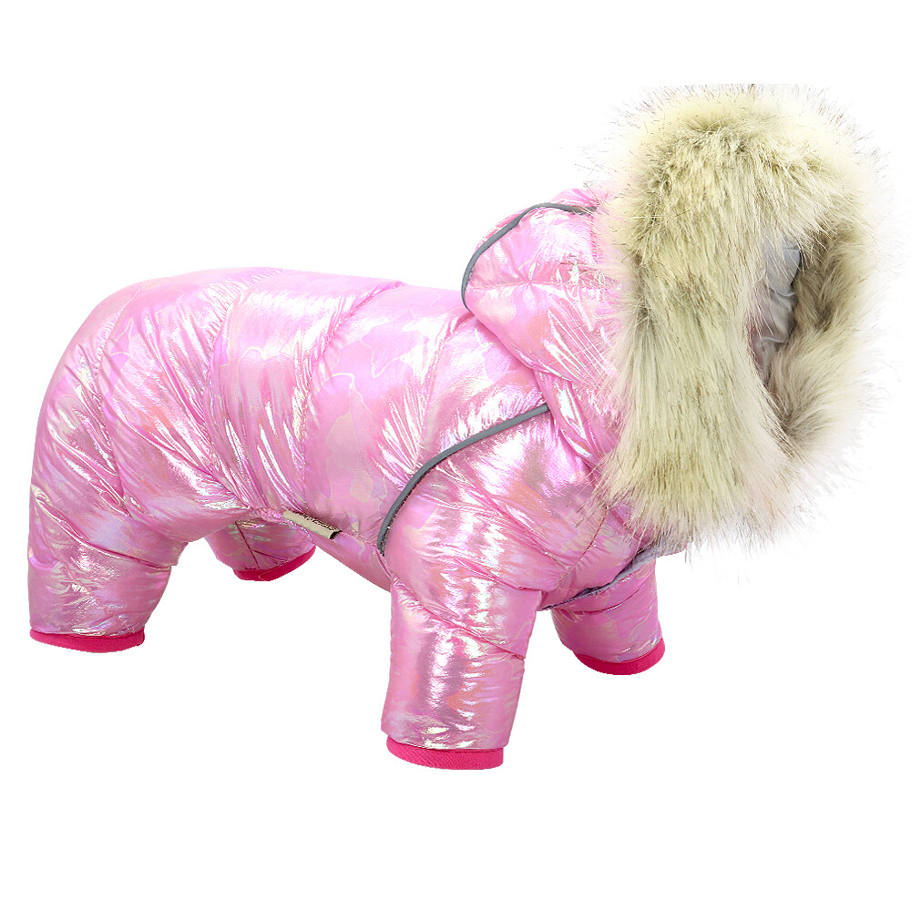 Snow suit best sale dog