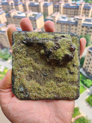 Outdoor Scene Grassland Rock Platform Soldier Dinosaur Animal Scene Prop Model - Picture 11 of 27