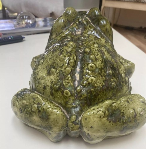 Arnels Bullfrog - Picture 11 of 14