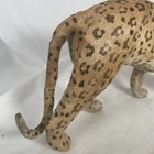 Foto 9 di 23