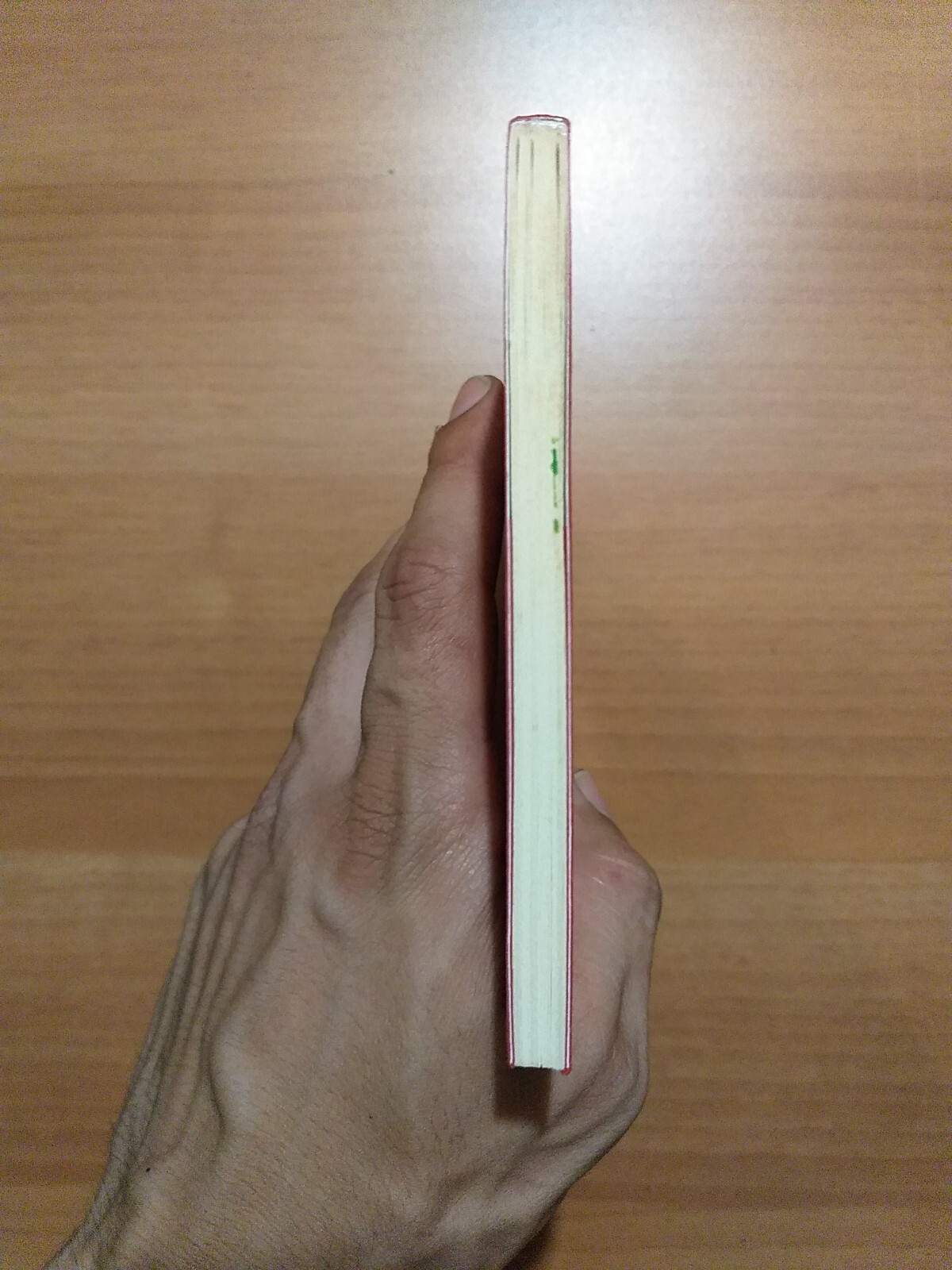 Foto 6 di 8