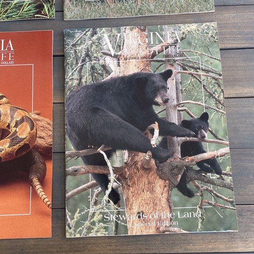 Near Complete Set of Virginia Wildlife Magazines 2002 - w/Trout Fishing Guide - Picture 12 of 12